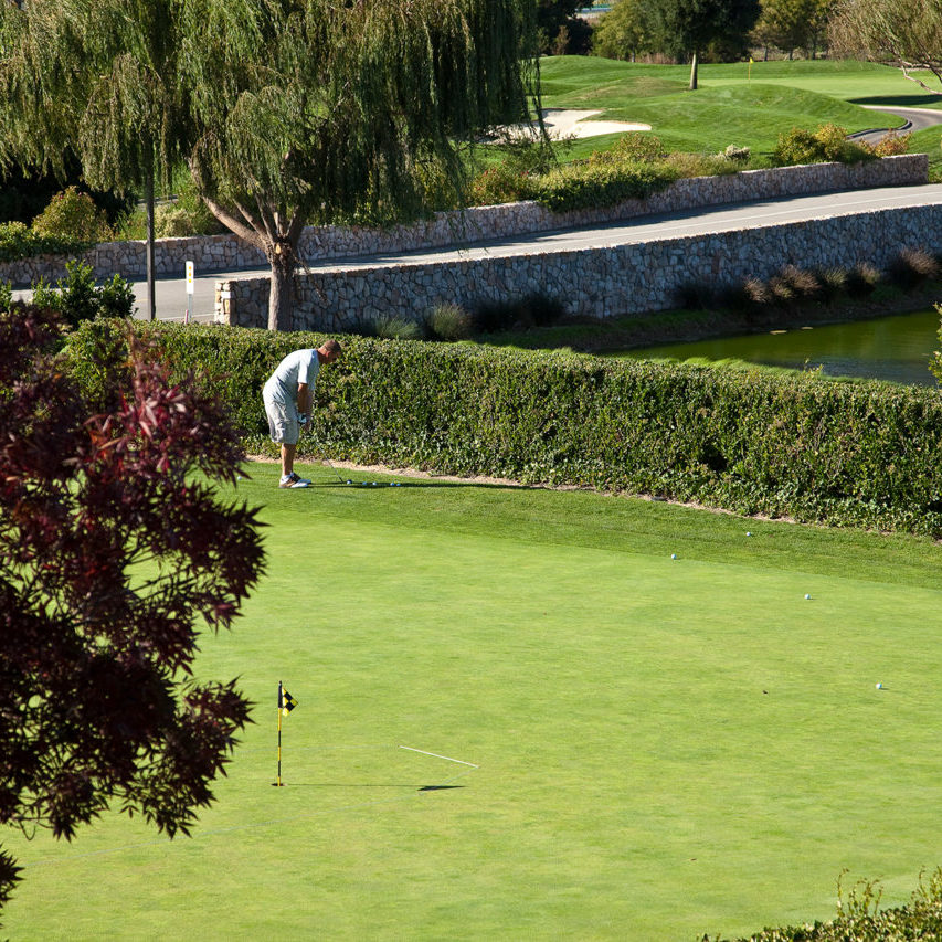 Stonetree Golf Clubhouse