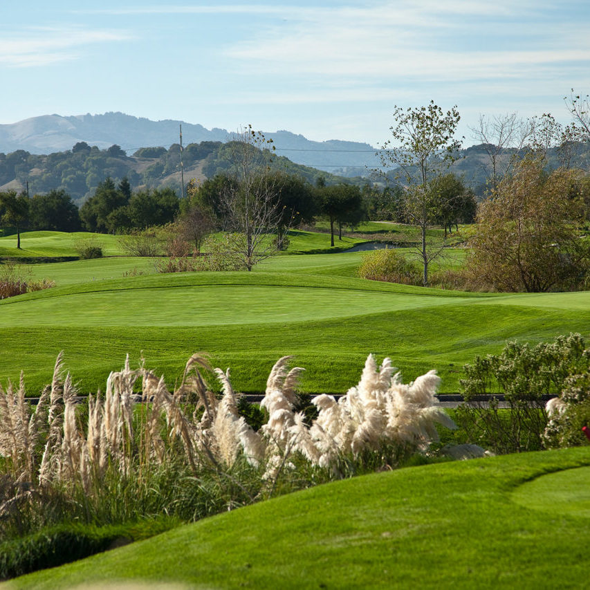 Stonetree Golf Clubhouse